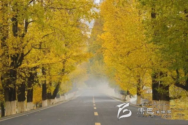 康定新都橋，有一條黃金大道通往夢(mèng)中的天堂